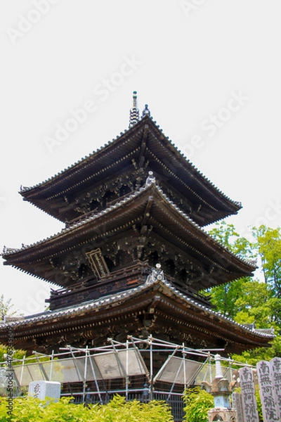 Fototapeta 金戒光明寺