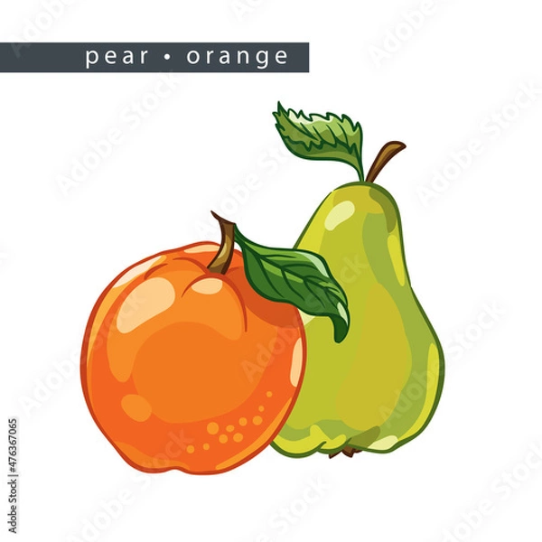 Obraz sketch_pear_orange_two_whole_fruits