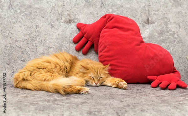 Fototapeta A red cat sleeps on the sofa.