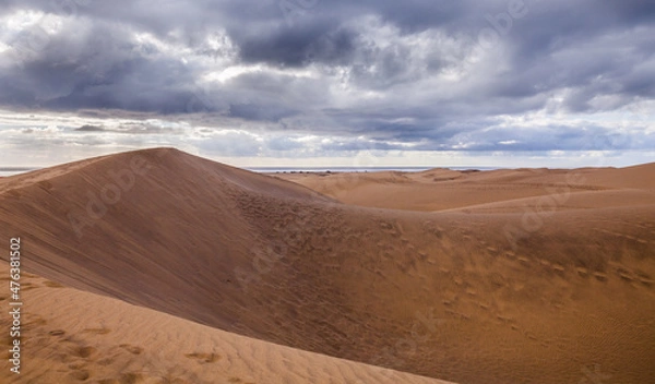 Fototapeta sand dunes in park