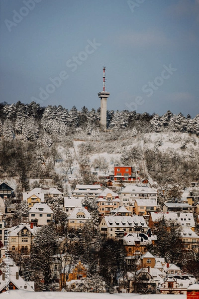 Obraz Thüringen- Jena im Winter 