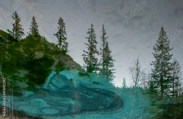 Fototapeta morning in the forest