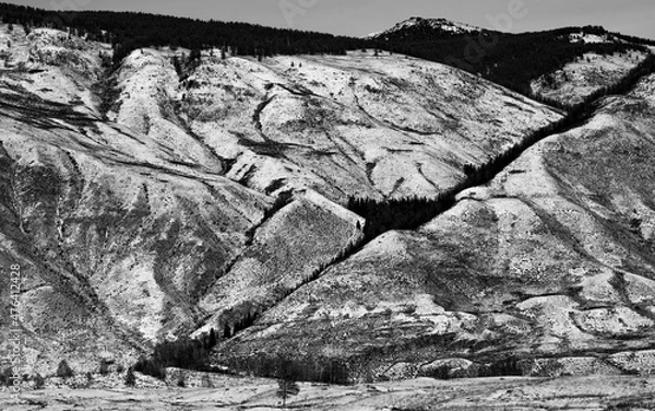 Obraz black and white