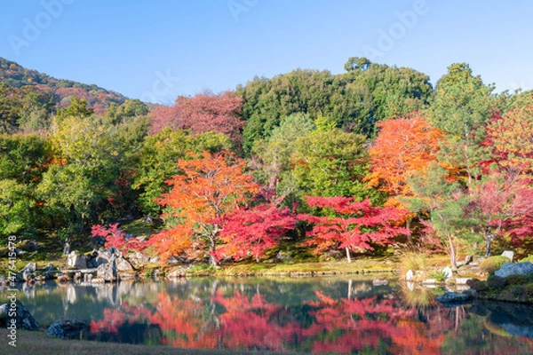 Fototapeta 秋の天龍寺