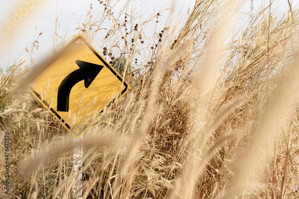 Obraz sign on the grass