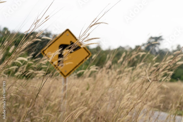 Obraz Traffic sign in grass