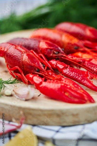 Obraz River Cooked Red Crawfish. Boiled crayfish with dill on wooden background