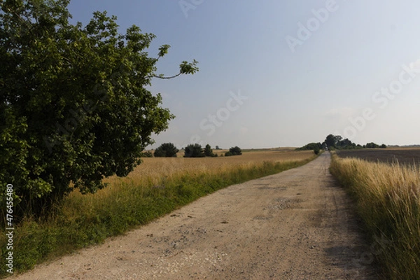 Obraz Polna droga kraszkowice 