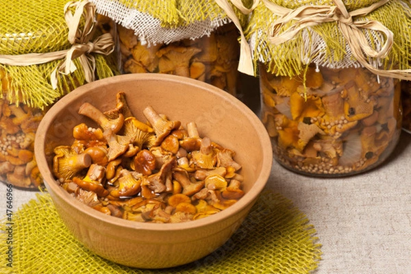 Obraz Marinated golden chanterelles