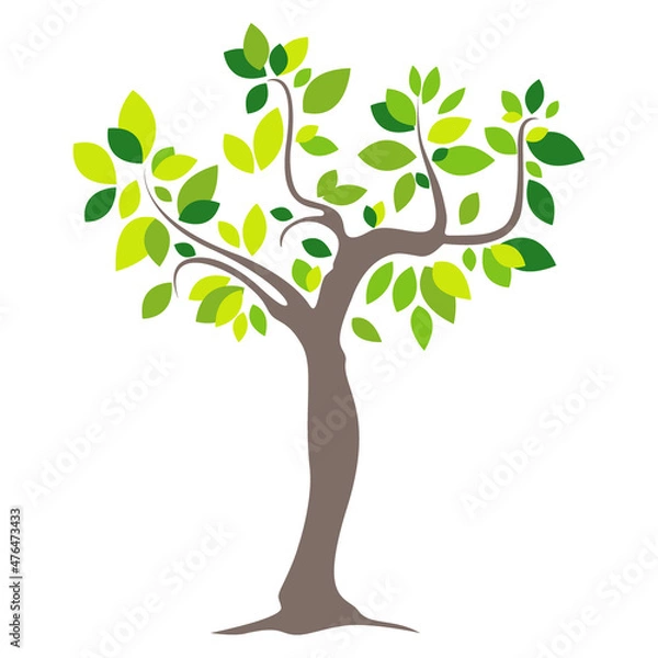 Fototapeta tree with leaves