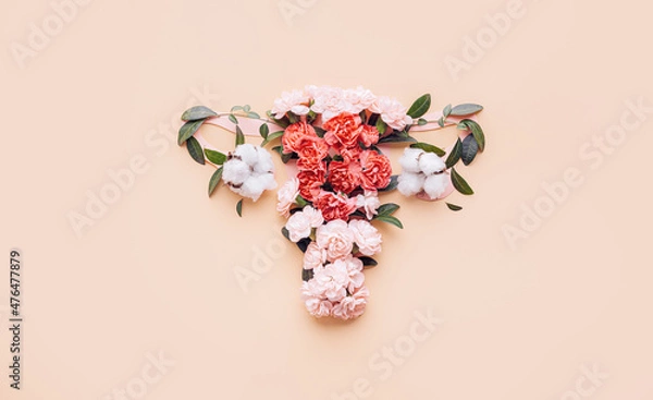 Fototapeta conceptual abstract image of the female reproductive system. Female uterus with vagina and ovaries