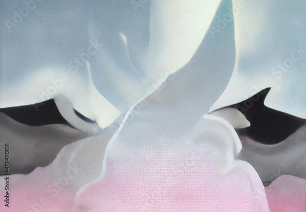 Fototapeta white calla lily