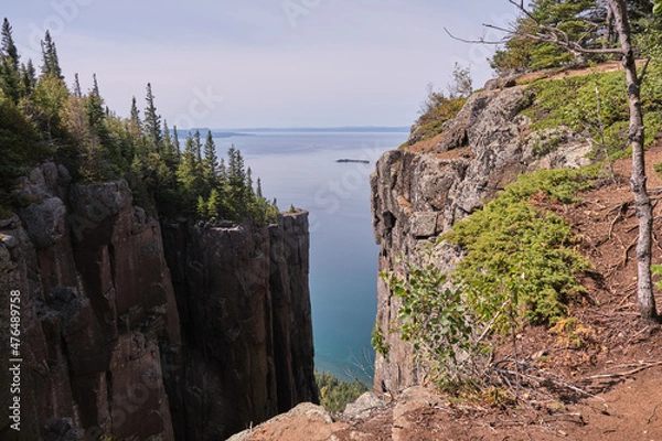Obraz tree on the rocks