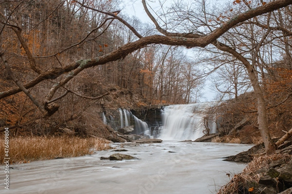 Obraz river in the forest