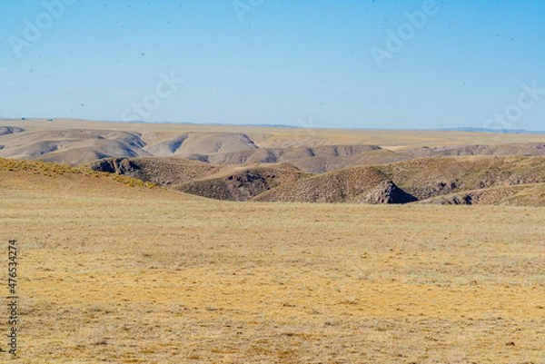 Obraz grass in the dunes