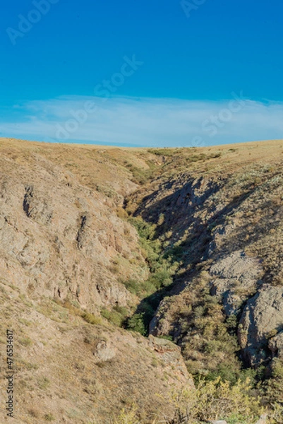 Obraz landscape in park state