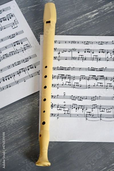 Obraz Music sheets and a recorder