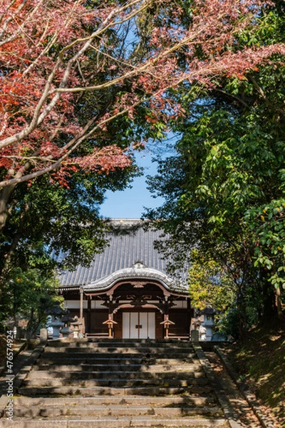 Fototapeta 寺院仏堂