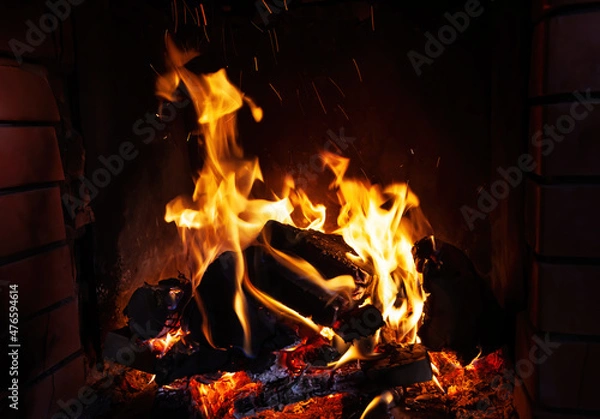 Fototapeta Fireplace with wood and fire flames