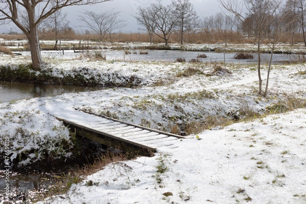 Obraz 雪の散歩道