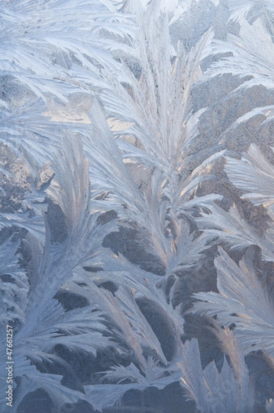 Obraz 窗上的霜花