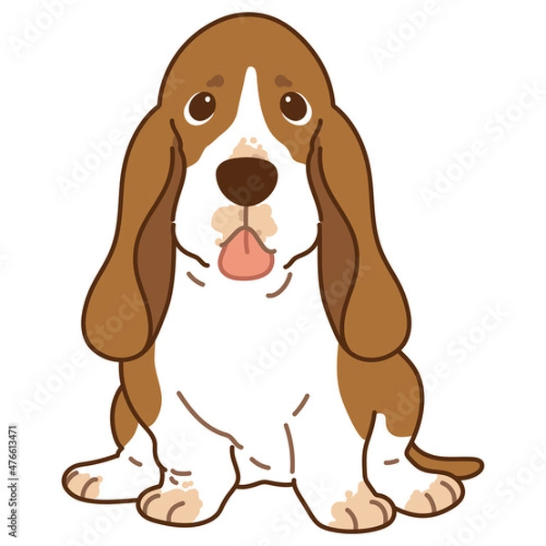 Fototapeta Simple and adorable outlined illustration of Basset Hound sitting in front view