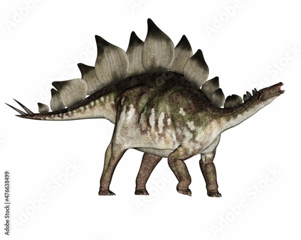 Obraz Stegosaurus dinosaur standing and roaring - 3D render