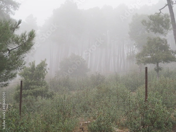 Obraz OLYMPUS DIGITAL CAMERA