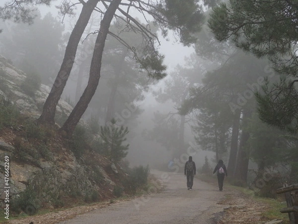 Obraz OLYMPUS DIGITAL CAMERA