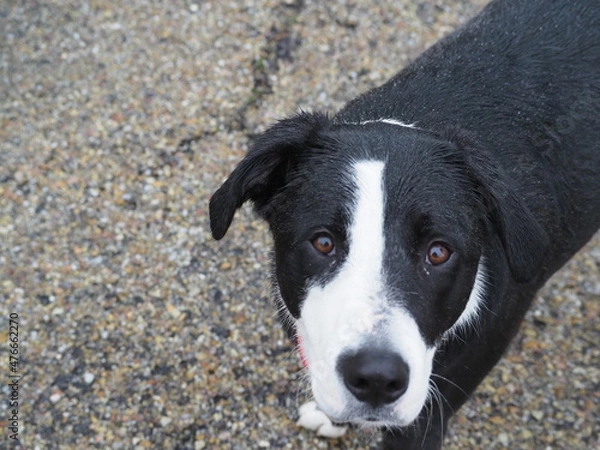 Obraz OLYMPUS DIGITAL CAMERA