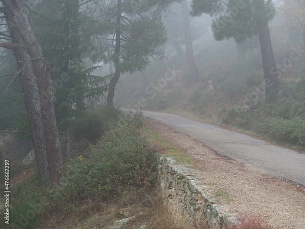 Obraz OLYMPUS DIGITAL CAMERA