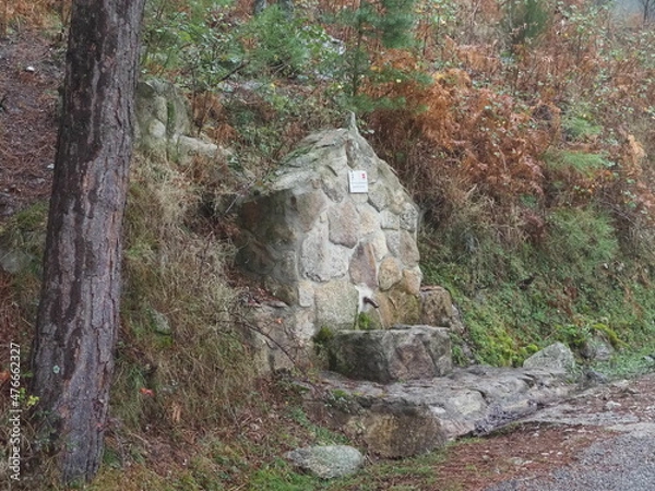 Obraz OLYMPUS DIGITAL CAMERA