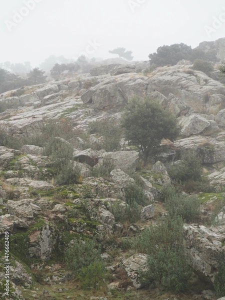 Obraz OLYMPUS DIGITAL CAMERA