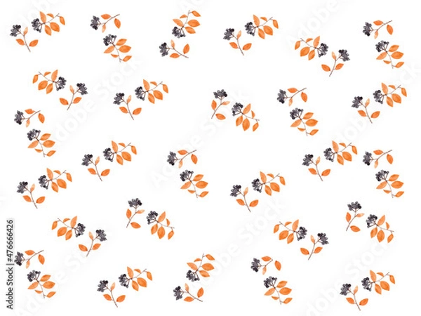 Obraz Inflorescence watercolor pattern, flower pattern, botanical watercolor.
