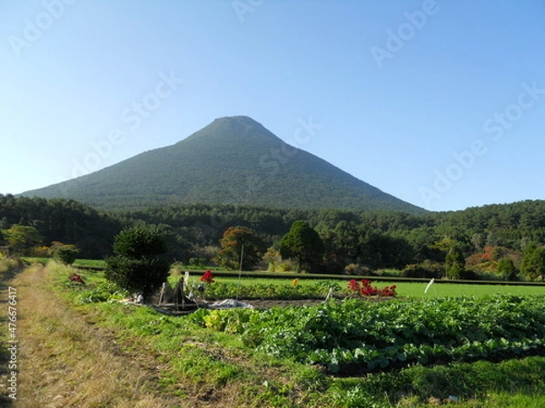 Obraz 青空と大地と薩摩富士