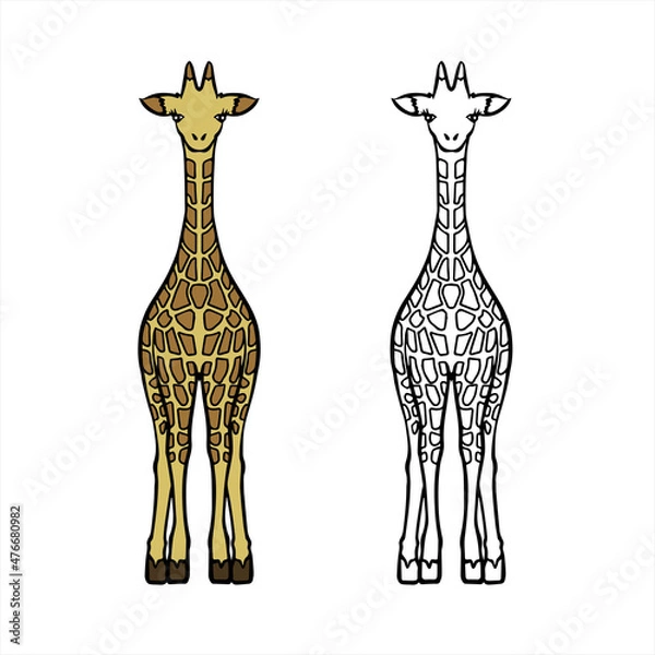 Obraz Giraffe