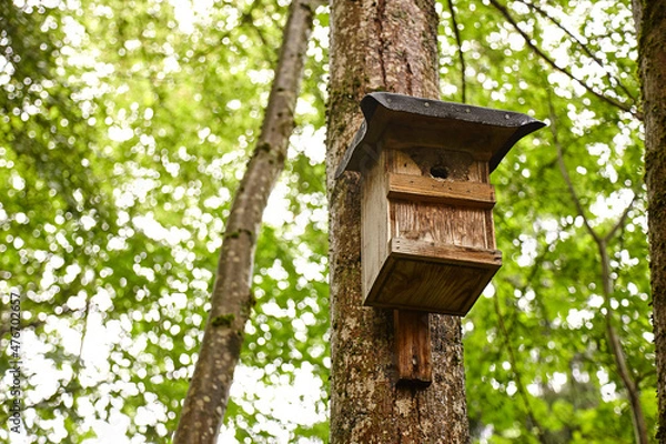 Obraz Vogelhäuschen am Baum