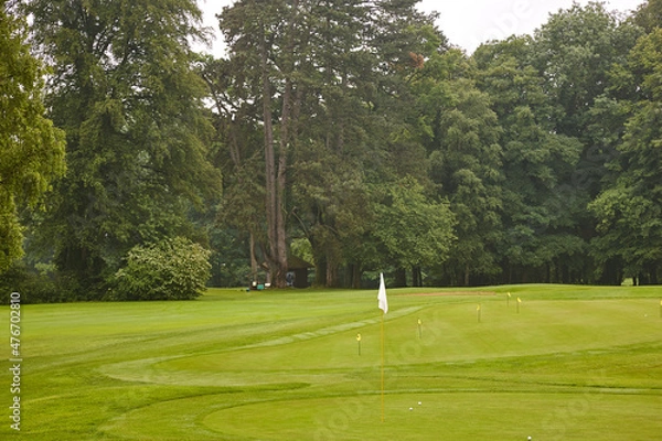 Obraz Golfplatz vor Bäumen