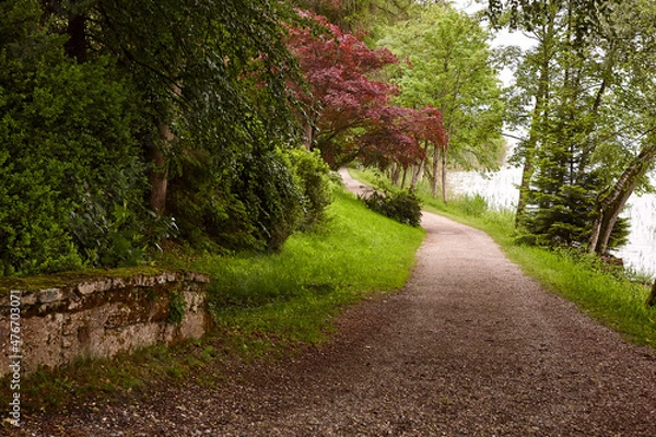 Obraz Weg am Waldrand I