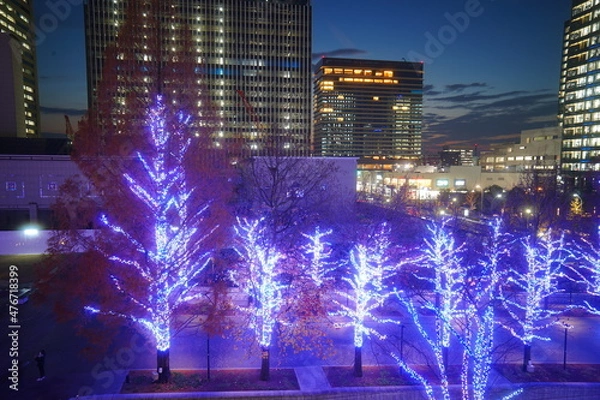 Fototapeta 横浜みなとみらいのイルミネーション