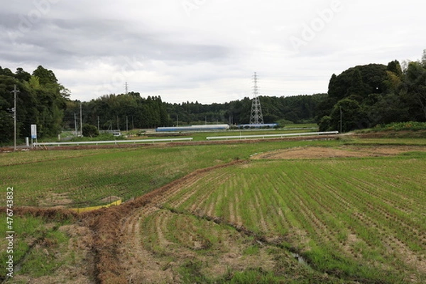 Fototapeta 田舎の景色