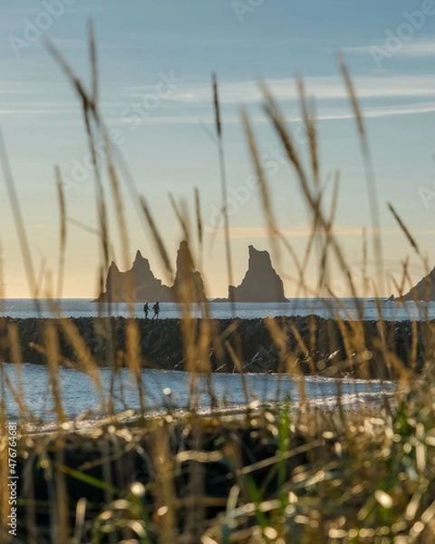 Fototapeta Vik seas stacks