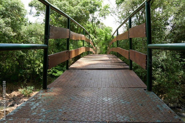 Obraz 自然の中にある木製の橋