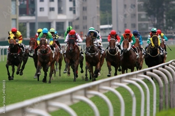 Obraz Horse Racing
