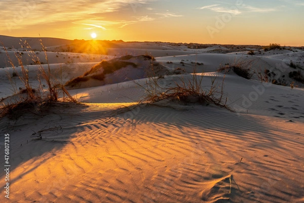 Fototapeta Hills of sand dunes at sunrise with small mounds of grass and high clouds illuminated by the sun, Monahans Sandhills State Park, Texas