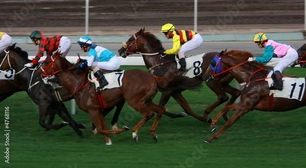 Obraz Horse Racing