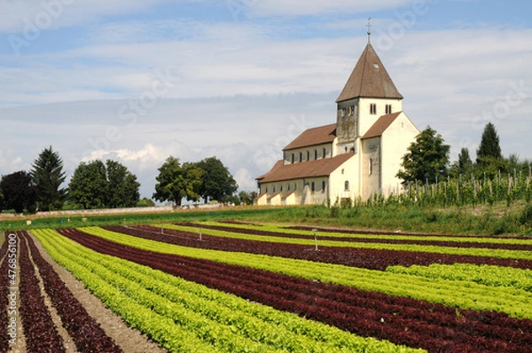 Fototapeta Insel Reichenau, Gemüseanbau bei der Kirche St. Georg