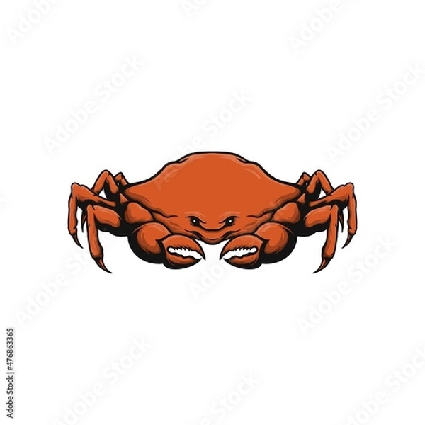 Obraz red crab on white vector illustration