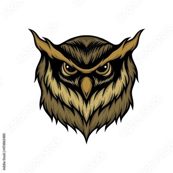 Obraz owl head isolated on white vector illustration