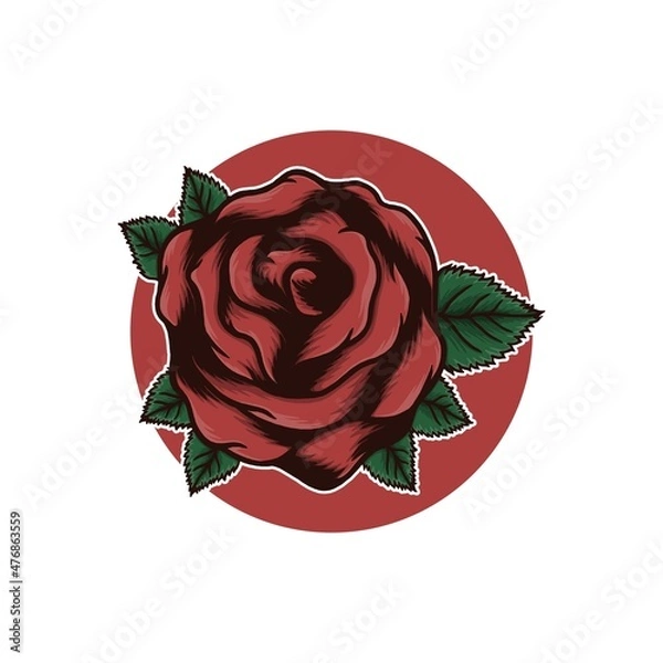 Obraz red rose on a white background